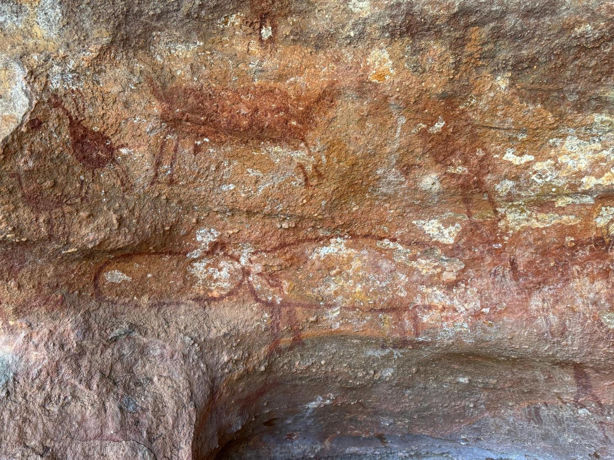 Casa Barreirinho Parque Nacional Serra Da Capivara Coronel Jose Dias 외부 사진