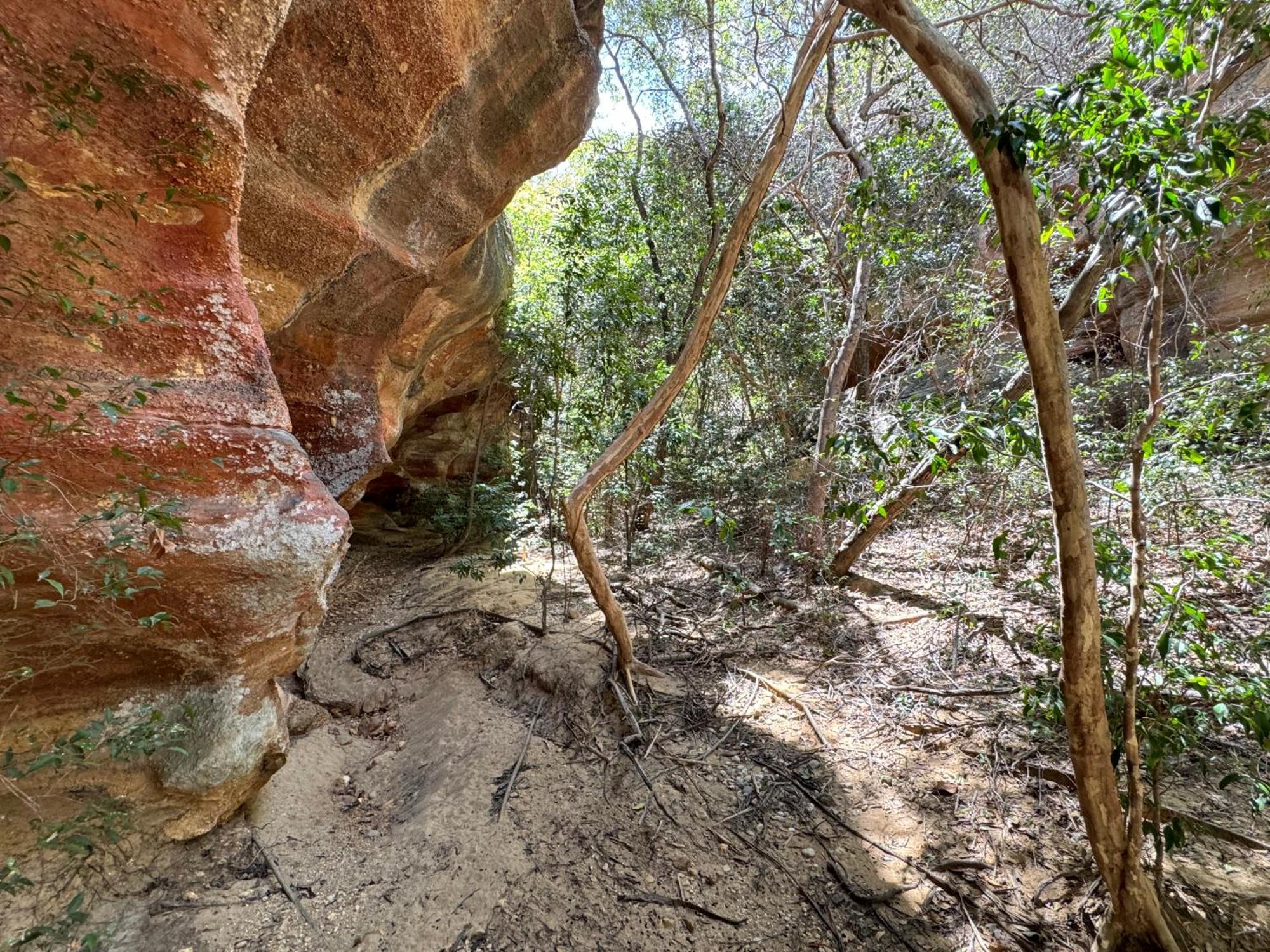 Casa Barreirinho Parque Nacional Serra Da Capivara Coronel Jose Dias 외부 사진