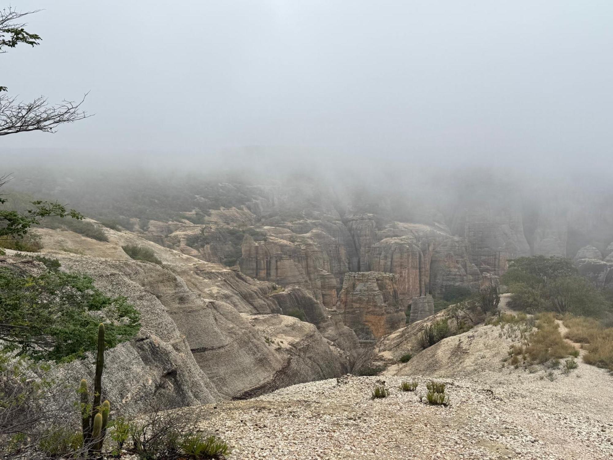 Casa Barreirinho Parque Nacional Serra Da Capivara Coronel Jose Dias 외부 사진