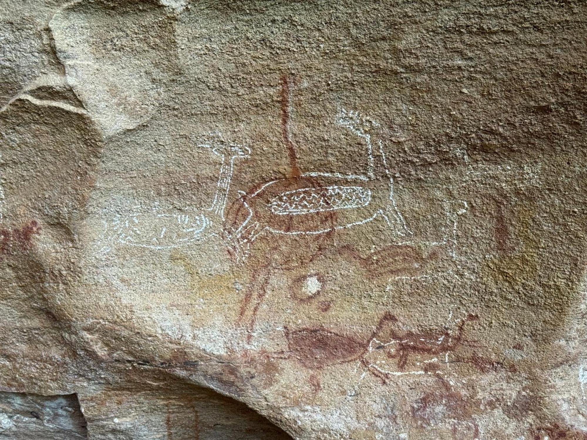 Casa Barreirinho Parque Nacional Serra Da Capivara Coronel Jose Dias 외부 사진