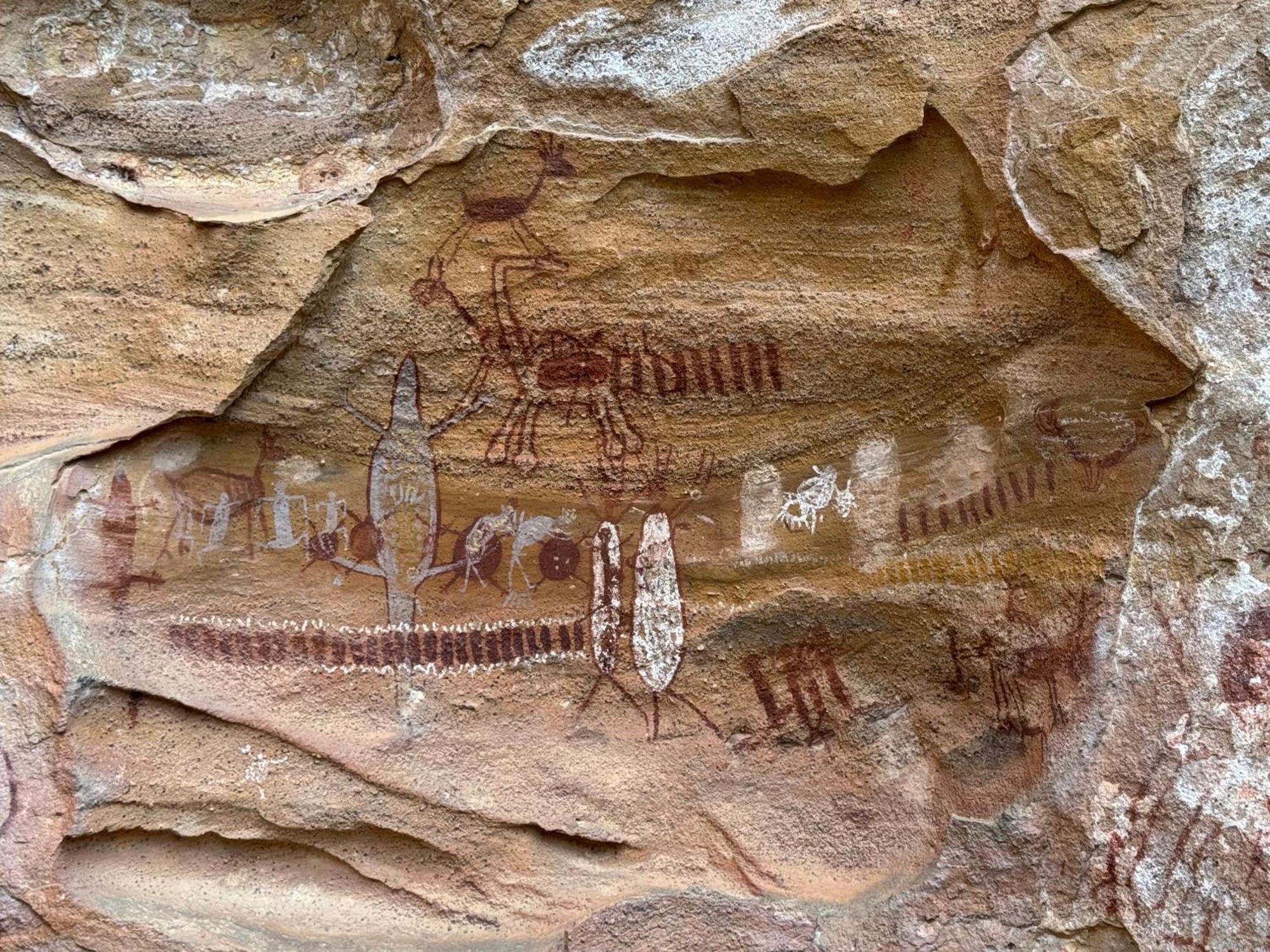 Casa Barreirinho Parque Nacional Serra Da Capivara Coronel Jose Dias 외부 사진