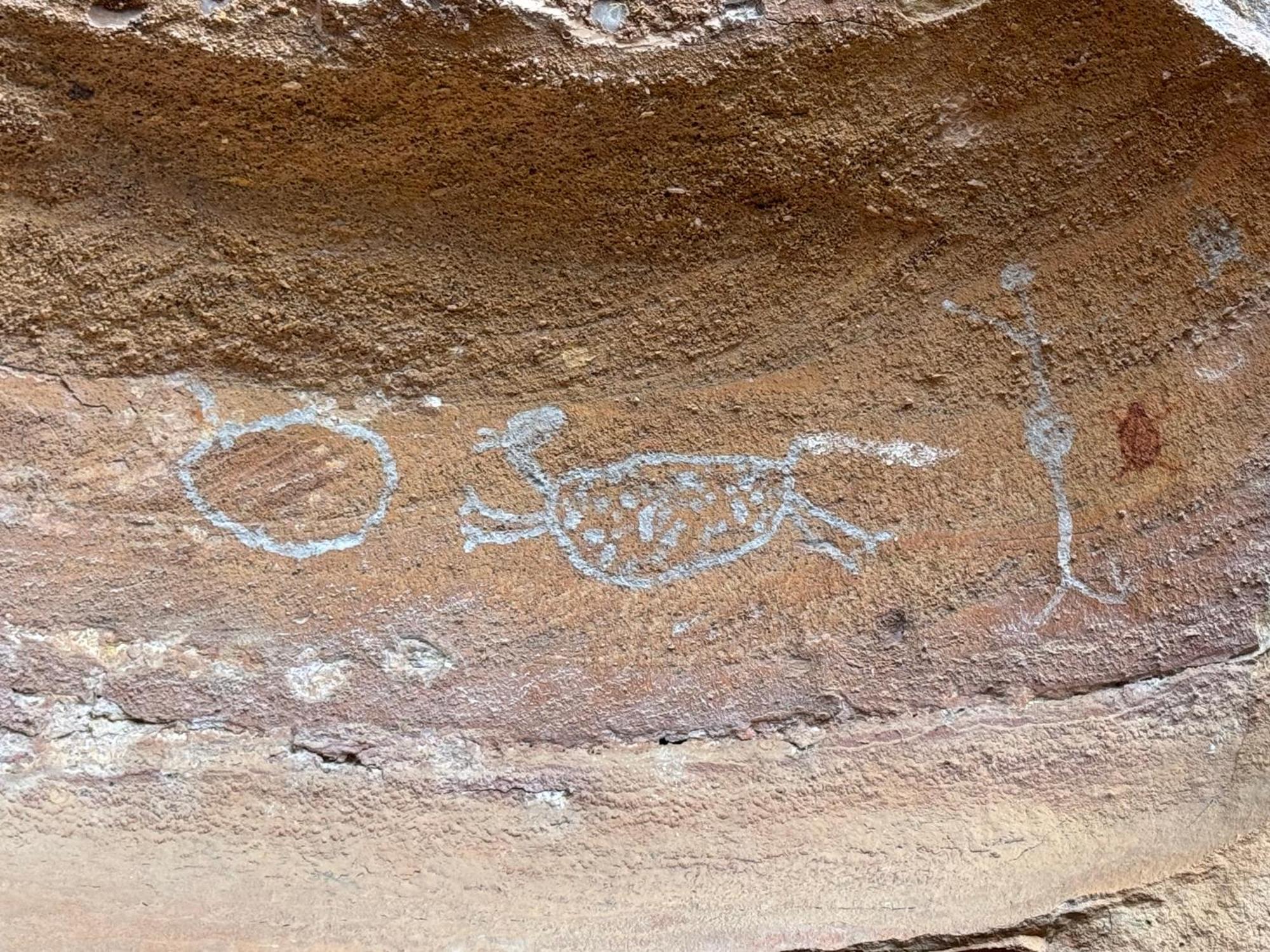 Casa Barreirinho Parque Nacional Serra Da Capivara Coronel Jose Dias 외부 사진